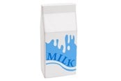 Treleker - Playwood - Wooden Milk Carton - PW2254A