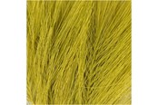 Kreative leker - Creativ Company Artificial feathers Green 10 pcs. - 518058