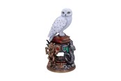 Reklameartikler - Nemesis Now - Harry Potter Hedwig Figurine 22cm - Figur - B6148W2