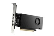 Grafikkort - PNY RTX 2000 Ada Power Limited Small Box - 16GB GDDR6 RAM - Grafikkort - VCNRTX2000EADA-PL