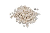 Arts & Crafts - Tilbehør - Colorations - Small Ark Shells 500 grams - 38WD12