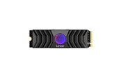 SSD - Lexar Professional NM1090 SSD - 1TB - M.2 2280 - PCIe 5.0 - LNM1090001T-RNANG