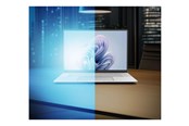 Kabinett tilbehør (kjølepasta mv.) - Dicota - display privacy filter - universal - D50030-2SM