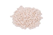 Arts & Crafts - Tilbehør - Colorations - Seashells Kauri 300g - 38WD26