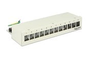 Tilbehør - DeLOCK Keystone Desktop Patch Panel - 12 Ports - 43335