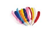 Kostymer - Boland - Indian Feathers 12pcs. - 44135