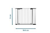 Babyutstyr - BabyDan Premier Safety Gate with 3 Extensions 92.5-99.8 cm Silver - 500937
