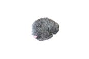 Mikrofon - Rycote Windjammer FWS 40/55 - RYC055378