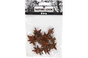 Arts & Crafts - Tilbehør - Creativ Company - Star Anise 10 pcs. - 50244