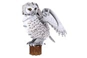 Puslespill - Cubic Fun 3D Puzzle National Geographic Snow Owl 3D Puslespill - 2012564