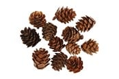 Arts & Crafts - Tilbehør - Creativ Company - Larch cones 12 pcs. - 50250
