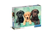 Puslespill - Clementoni Three Labradors (1000) - 39946