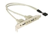 USB - DeLOCK USB Panel - 10 pin USB Header to USB - 30 cm - 71000