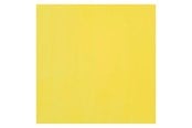 Kreative leker - Bruynzeel Ecola Poster Paint Bottle 16ml Lemon Yellow (Primary) 205 - 09162050