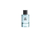 Parfyme & Dufter - Tiffany & Co Love Eau de Toilette for Him - 3614227728820