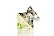 Parfyme & Dufter - Britney Spears Believe Eau de Parfum 30 ml - 719346117708