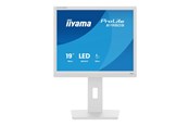 Skjerm - 19" iiyama B1980S-W1 - 1280x1024 - 75Hz - TN - B1980S-W1