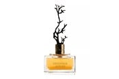 Parfyme & Dufter - Aurora Deciduous Autumn Eau De Parfum For Women 100 ml - 6290360540269
