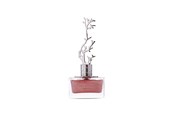 Parfyme & Dufter - Aurora Deciduous Spring Eau De Parfum For Women 100 ml - 6290360540276