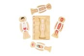 Babyleker - Bigjigs Wooden Anatomy Puzzle - Boy 26pcs. - 37021