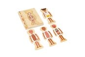 Babyleker - Bigjigs Wooden Anatomy Puzzle - Girl 26pcs. - 37022