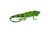 Figurer - Mojo Wildlife Iguana - 381095