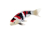 Figurer - Mojo Sealife Koi Carp - Showa Sanshoku Koi - 381103
