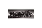Puslespill - Clementoni Jigsaw Puzzle Herd of Giants 1000pcs. Gulv - 39895