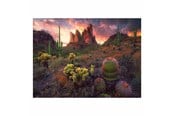 Puslespill - Ravensburger Jigsaw puzzle Cactus 500 pcs. Gulv - 12001380