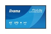 Digital skilting & Hotell TV - iiyama ProLite LH4364UHS-B1AG 43" Class (42.5" viewable) LED-backlit LCD display - 4K - for digital signage - LH4364UHS-B1AG
