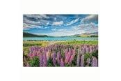 Puslespill - Clementoni Jigsaw Puzzle Flowers at Lake Tekapo 1500pcs. Gulv - 31728