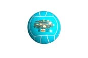 Fotball & Ballspill - Schreuder Beach bold Ø:21cm. 280 gr. +3år PVC - 26023