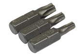 Bormaskin & Bits - Makita Screwdriver Bit Set - 3 Pieces - B-24533