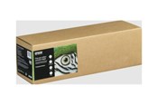 Papir, Fotopapir & Etiketter - Epson Fine Art II - C13S450270NQ