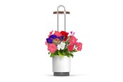 Hageredskaper - Click & Grow HydroVase Grow Fresh Plants Indoors All Year Round with LED Lighting and Self-Watering System - White - CGHVWEU