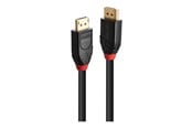 Skjermkabel - Lindy - DisplayPort cable - DisplayPort to DisplayPort - 10 m - 41169