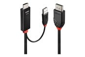 Skjermkabel - Lindy adapter cable - 2 m - 41499