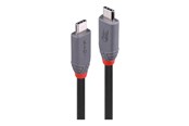 USB - Lindy Anthra Line - USB-C cable - 24 pin USB-C to 24 pin USB-C - 2 m - 36958