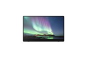 Skjerm - 15.6" Ricoh 150BW - OLED monitor - Full HD (1080p) - 514910