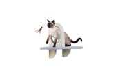 Katt - AFP - Skywalk Groom & Play Platform - Wall-mounted - 2271