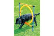 Hund - Pawise - Agility Ring 55Cm - 636.9004