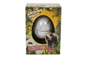 Figurer - Pocket Money Growing Dinosaur Egg 6cm - assorted - 620370