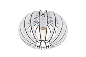 Lamper - EGLO STELLATO TAK Ø300 HVIT - 95028