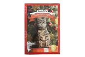 Katt - Treat Time Jule-Adventskalender for Katter - 50999