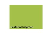Papir, Fotopapir & Etiketter - Quantore - Copy paper Fastprint A4 80gr bright green 100 sheets - 129675