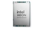 Prosessor/CPU - Dell Intel Xeon 6505P / 2.2 GHz processor Prosessor/CPU - 12 kjerner - 2.2 GHz - 338-CSZV