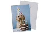 Hobbyartikler - SCANSEASON Card with envelope dog with cake 11*17cm - 100253