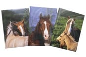 Papir, Fotopapir & Etiketter - Hobby Mate Notebook A5 126*180mm. Horse motif.100254 - 100254-H