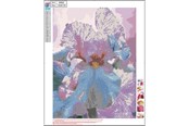 Hobbyartikler - CENTRUM Diamond Painting 40*50cm. FLOWERS - 80902