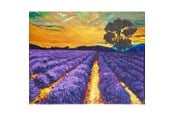 Hobbyartikler - CENTRUM Diamond Painting 40*50cm. LILLA MARK - 80906
